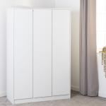 Braunstein Elegant Door Wardrobe