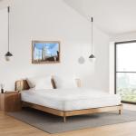 Chill Flex Single Mattress (ft Cooling Foam and Open Coil Design)