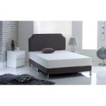 Wayfair Sleep Foam Mattress